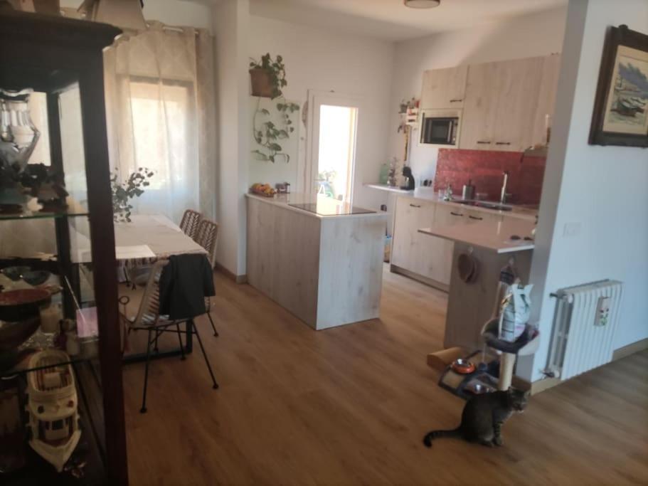 Habitacion Doble 팔라프루헬 외부 사진